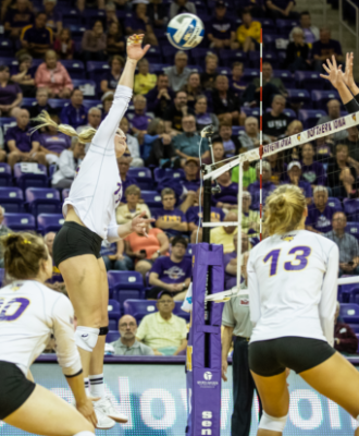 Volleyball Player at Net