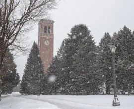 Campanile in winter