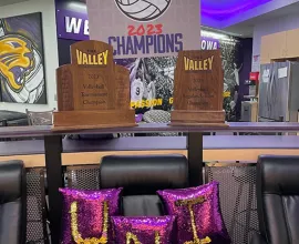 Trophies & Pillows